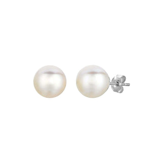 Freshwater Pearl Earrings in Sterling Silver - Whitestone Jewellery