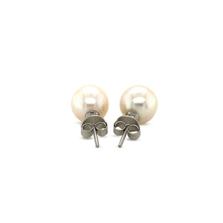 Freshwater Pearl Earrings in Sterling Silver - Whitestone Jewellery