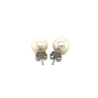 Freshwater Pearl Earrings in Sterling Silver(8mm) - Whitestone Jewellery