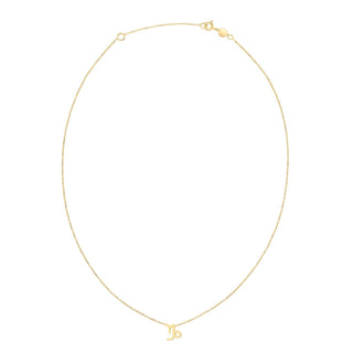 14K Yellow Gold Capricorn Necklace - Whitestone Jewellery